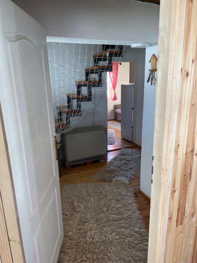 Kuca Miladinovic Villa Kopaonik Exterior foto